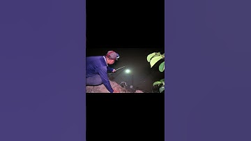 Cấm câu đêm giữa trời mưa bão và cái kết #fishing #cuoccauca #fishingandcamping