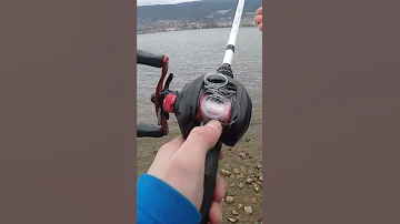 How To Get Rid Of A Backlash Quickly And Effectively Shorts 