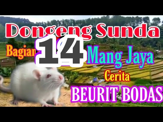 Dongeng Sunda Mang Jaya Cerita BEURIT BODAS bagian ke 14 class=