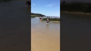 Beach Horseriding in Colonia del Sacramento