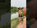 Xuất Hiện Cá Sấu Khổng Lồ Dưới Hồ Lớn #shortvideo #funny