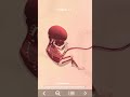Pregistry (Pregnancy Tracking &amp; 3D Visualization App for Android)