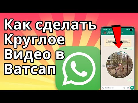 Круглое Видео в Ватсап, Как сделать и отправить Видеосообщение в WhatsApp