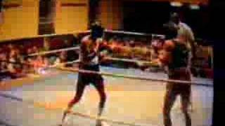 Shane Hawkey 46 1986