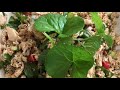 Laos larb gai laos chicken salad 