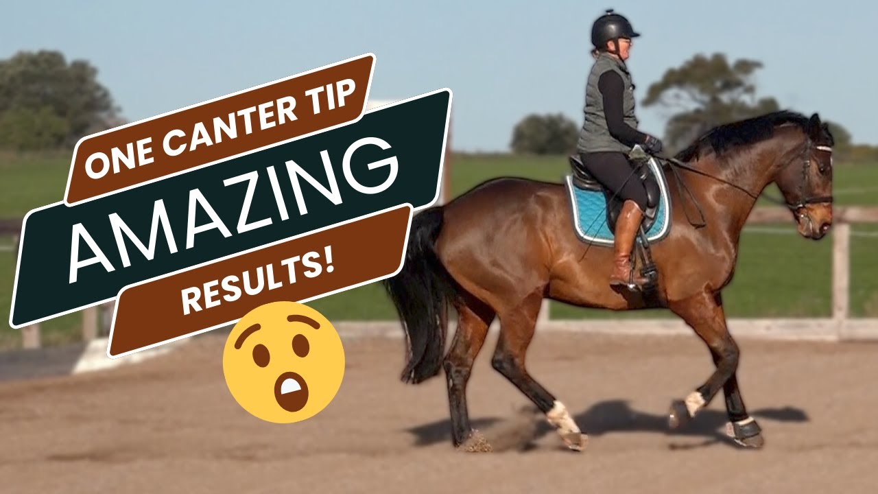 My Number One Tip To Canter On A Horse - YouTube