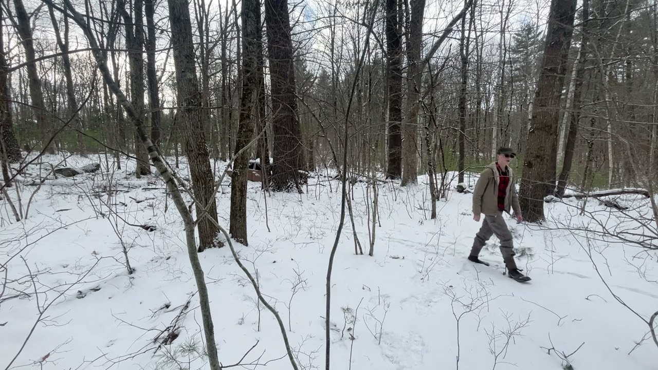 Exploring the woods of New Hampshire part 2