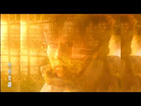 秋来也秋去,千千片红叶跌坠,如完成凄美的程序,《秋去秋来》MV！