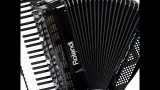 Vlasko kolo harmonika uzivo