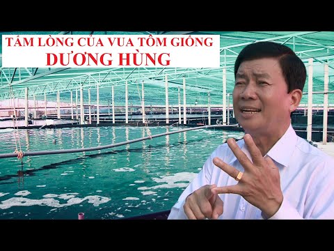 Video TẤM LÒNG CỦA VUA TÔM GIỐNG #nuoitom... - youtube