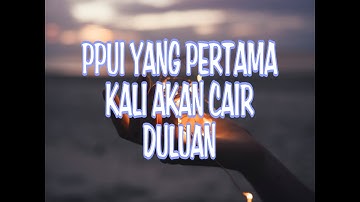 Semua program menginduk ke PPUI,smoga tidak lama lagi pencairan ke anggota