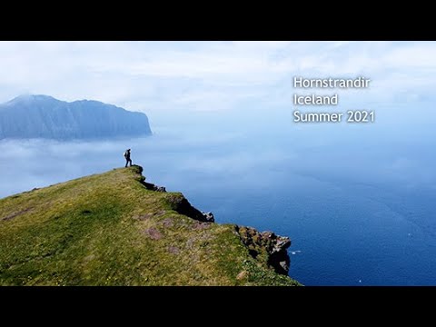 Vidéo: Réserve naturelle de Hornstrandir : le guide complet