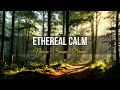Ethereal Textures Deep Sleep | DeepCalm Ambient Vol. 017