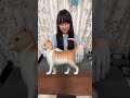 一発でわかった人いますか？