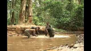 vol.11】Traditional Music in Africa（アフリカの伝統音楽