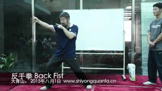 Back Fist In Practical Method
