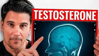 Why Testosterone Totally Transforms You