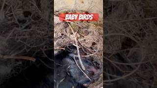 🩷SO CUTE. 🩷 #youtube