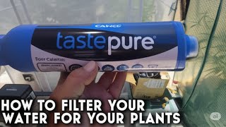 Camco TastePure review. Easy water filter for your garden or greenhouse. You're plants will be happy