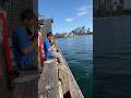 UNBELIEVABLE STRIKE!!! FISHING AT SYDNEY HARBOUR