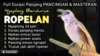 NO 1 TERAPI !! TRUCUKAN GACOR ROPEL PANJANG CEPAT MEMANCING TRUCUK BUNYI NYAUT ROPELAN