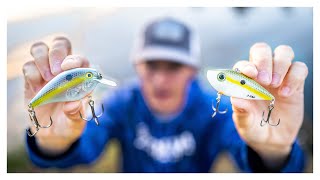 Fishing A LIPLESS CRANK vs. SQUAREBILL CRANK (Which One Is BEST??)