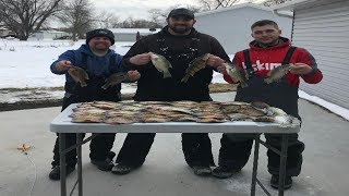 CRAZIEST Panfish Bite (Twelve Mile Lake)