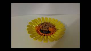 LEGO SUNFLOWERS SET 40524