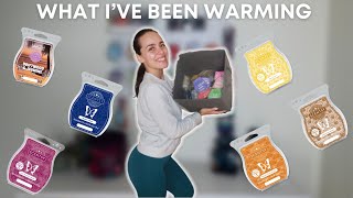 What I’ve Been Warming!