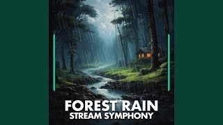 Forest Rain Stream Symphony, Pt. 45