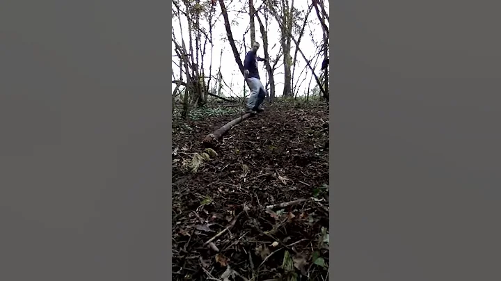 Backside Log Slide
