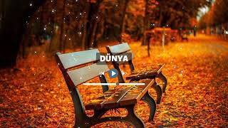 Dünya (Ne Verdin Ki Ne Alasın) - Yapay Zeka Muhteşem Ses Resimi