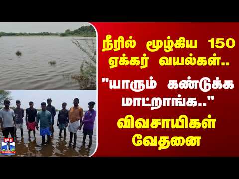 Cuddalore | நீரில் மூழ்கிய 150 ஏக்கர் வயல்கள்.. "யாரும் கண்டுக்க மாட்றாங்க.." - விவசாயிகள் வேதனை