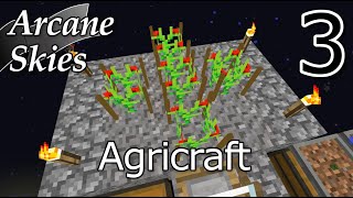 Arcane Skies Episode 3 - Agricraft