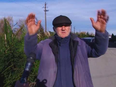 რა ლეგენდები არსებობს ჩიჩილაკის და ნაძვის ხის შესახებ 31 12 18