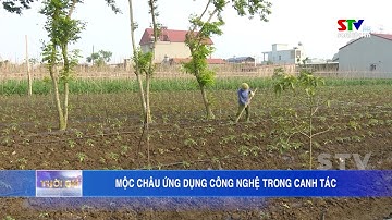 Mộc Châu ứng dụng công nghệ trong canh tác
