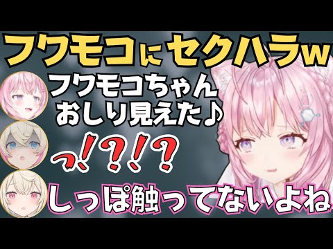 フワモコとフブちゃんから洗礼を受ける新人こよりが面白すぎたw【ホロライブ 切り抜き/白上フブキ/FUWAMOCO/博衣こより】