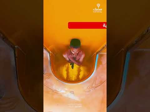 مع سفرك السياحية استمتع بعرض الدلافين بمنتجع أرض الأساطير في أنطاليا تركيا