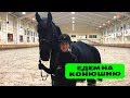 Едем на конюшню на Новой Риге / Ната Кони