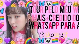 ♡⃕  ↳ TOUR PELO MEU WHATSAPP MODIFICADO+CREDIDOS PARA A DONA† screenshot 5