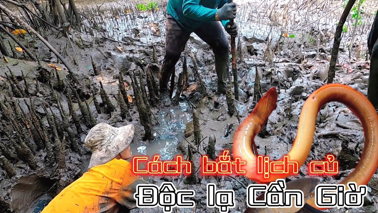 Bắt Lịch Cũ Đọc Lạ Cần Giờ Từ Đó Giờ Mới Biết /Đạt Nguyễn Cần Giờ