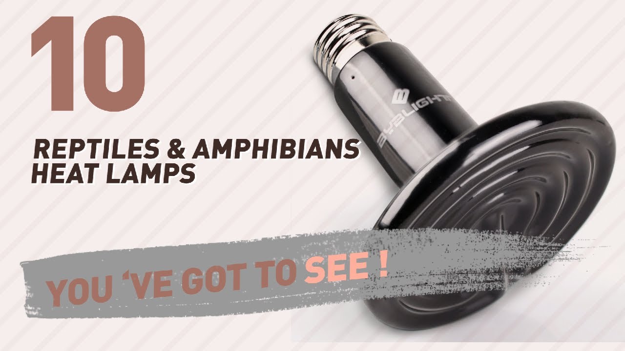 cats inn Top 10 Reptiles & Amphibians Heat Lamps // Pets Lovers Channel Presents: