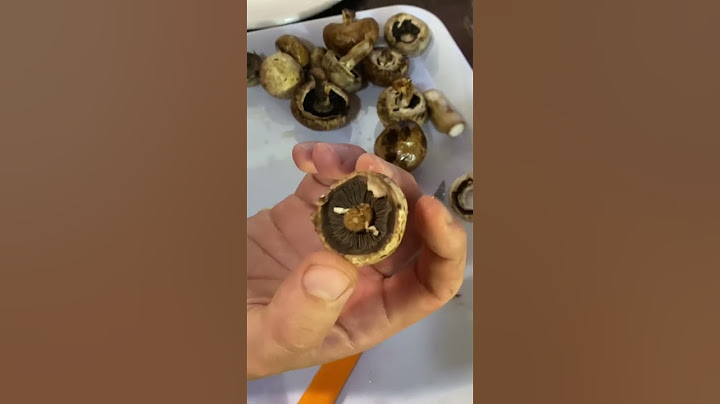 Champignon cómo sacarle las esporas súper fácil!! #champignon #plantas #hongos #natural #compost