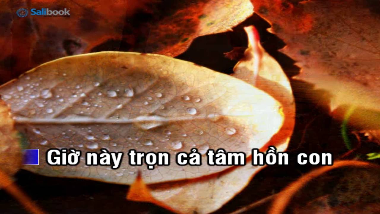 [Karaoke TVCHH] 002 - TRỌN CẢ TẤM LÒNG- Salibook