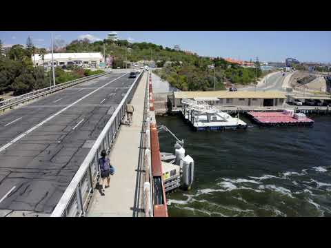 Видео: Хун голын Миртлийн мэдээлэл: Хун голын Миртлийн ургамал тариалах зөвлөмж