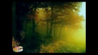 Mahalli Müzik - Bıçak.