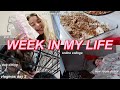 WEEK IN MY LIFE! thanksgiving, dog sitting, online college + more | VLOGMAS DAY 3