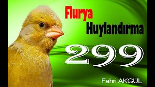 Fahri Akgül - Flurya Huylandırma 299