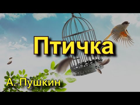 Пушкин А. С. "Птичка". Стихотворение