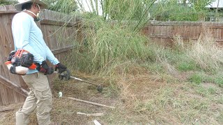 This BACK YARD was too OVERGROWN for their RELATIVE to handle so I did it for FREE by MrCris 16,042 views 6 months ago 25 minutes